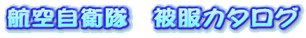 �q�󎩉q���@�핞�J�^���O